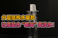 ‌分层结构水凝胶：高盐水淡化的革命性突破